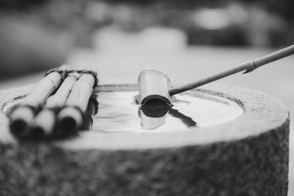 benediktushof dsc 6057 sw benediktushof dsc 6057 sw